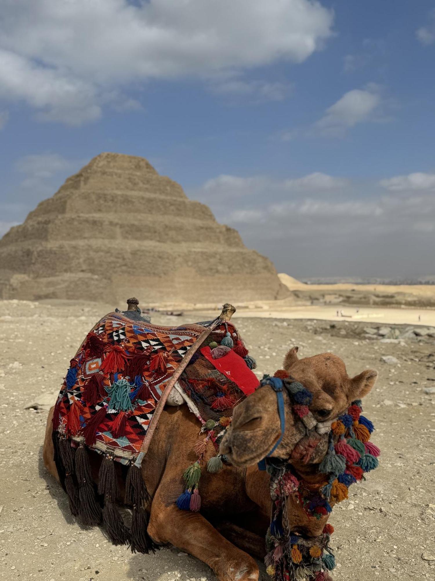 K Boutique Hotel Medspa-Pyramids & Grand Egyptian Museum Ghatati 外观 照片